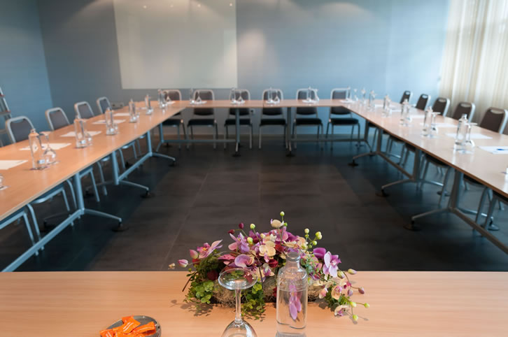 Galia Puerto - Distribución de salas