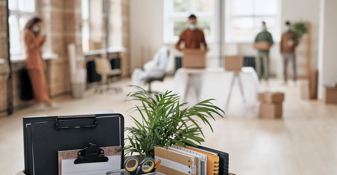 Galia Puerto - Espacio de trabajo: la psicología detrás de la productividad